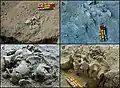 Burial 11 - Field pictures.