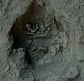 Burial 12. Excavation at phase 8.