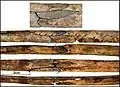 Burial 15. Perimortem fractures on the right fibula