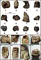 Burial 17 - Chopped and burnt fragments of long bones were deposited within the cranium.