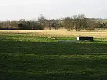 A grassy open field