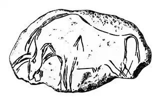 Engraving on stone found in a cave at Isturitz showing wounded ox with weapon in its side. Wellcome Images