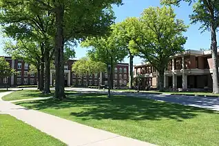 Photo of green trees on campus with a building and library.