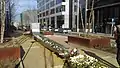 Wounded But Still Standing in Front of the Inconceivable, Rue de la Loi, Brussels