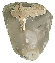 A hand axe made of Miorcani flint from the Cenomanian chalky marl layer of the Moldavian Plateau. (ca. 7.5&nbsp;cm wide).