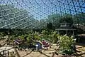 View from within the Floral Show Dome