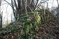 One of the walls at the Vidin Grad