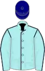 Pale blue, dark blue seams, navy blue cap