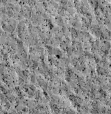 Photo of the Viking 2 lander taken by the Mars Reconnaissance Orbiter in December 2006.