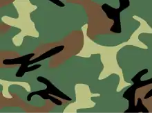 Main (4-colour woodland) variant of Chinese People's Liberation Army Type 99 pattern, c. 2006