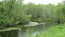 Portage Creek along H-33