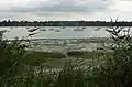 Potters Reach, August 2009