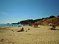 Looking west along the beach