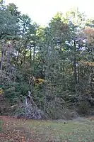 The lower reaches of the park