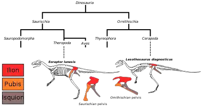 Figure 2d