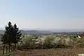 Lukavac - panorama