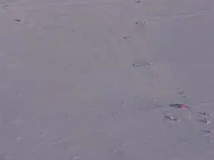 Sky Blu Melon hut and ancillary facilities, taken on approach to the runway. The hut and facilities are located about 1.5 kilometres (0.93&nbsp;mi) from the runway, pictured top left.