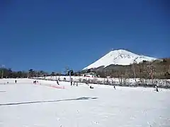 Snowtown Yeti & Mount Fuji Susono