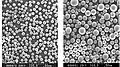 The SiO2 powder spheroidised by induction plasma (air plasma), output 15~20&nbsp;kg/h