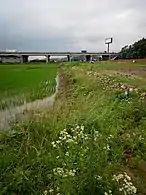 Near the Seohaean Expressway37°15′30″N 126°53′17″E﻿ / ﻿37.25833°N 126.88806°E﻿ / 37.25833; 126.88806