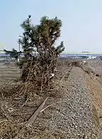 In Suyeong-ri, Hwaseong37°14′32″N 126°56′54″E﻿ / ﻿37.24222°N 126.94833°E﻿ / 37.24222; 126.94833