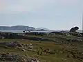 The 'frog rock'