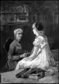 Illustration, 1884