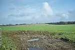 Bowl barrow 100 m north east of Home Farm Cottage