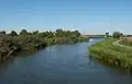 near Doornenburg, the Linge