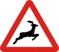 Wild animals