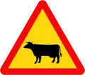 230: Cattle or livestock animals