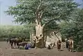 The Well and Sycamore in Ezbekieh Square, Cairo, c. 1858–60, collection Teylers Museum