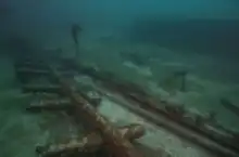 A pattern of submerged, log-like objects.