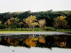 Camuy