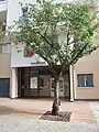 École maternelle au no&nbsp;5.