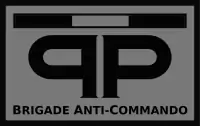 Image illustrative de l’article Brigade anticommando
