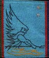 Insigne d'épaule droite de la 31e&nbsp;brigade.