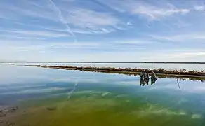 Vue sur l'étang d'Ingril au sud