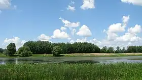 Vue de l'île