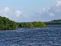 îlet Rat vu par l'îlet Macou.