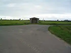 Stedesand