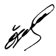 Signature de Özgür Özel