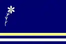 Drapeau de Častohostice