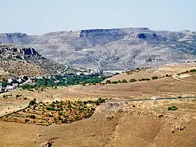 Yeşilli