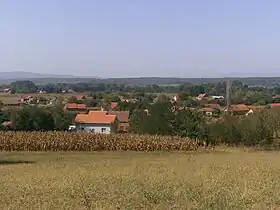 Šainovac