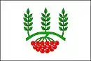 Drapeau de Žeraviny