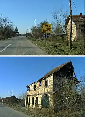 Živaja
