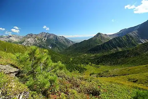 La vallée de la Kynyrga au-dessus d'Archan.