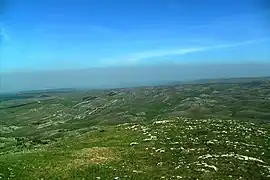 Prairie plissée.