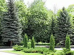 Plantations.